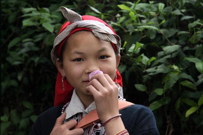 sapa_2205a